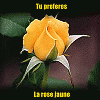 ������ ������� FTHYA