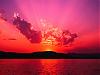 ������ ������� tojjit
