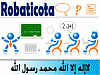 ������ ������� robaticota