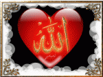 ������ ������� anis tarbawi