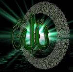 ������ ������� hani salah