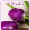 ������ ������� ouhtimohamed