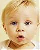 ������ ������� hassouna