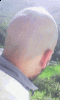 ������ ������� l.jamal2