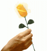 ������ ������� moujanad