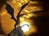 ������ ������� dragon2008