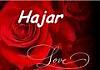 ������ ������� haidi