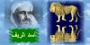 ������ ������� amazigh-52