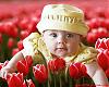������ ������� wafaa