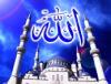 ������ ������� houla