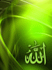 ������ ������� Ahmed_0190