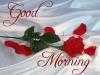 ������ ������� samir64