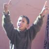 ������ ������� NASSIM