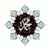 ������ ������� nismoncef