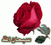 ������ ������� eram