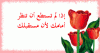 ������ ������� sali2384
