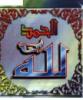 ������ ������� hassanion