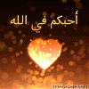 ������ ������� ayman05a