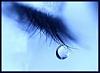 ������ ������� noralhouda
