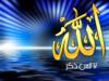 ������ ������� aboumarda