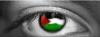 ������ ������� chetouani