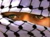 ������ ������� ������ ������