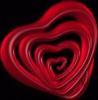 ������ ������� amine alaoui