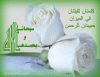 ������ ������� salma el kasmi