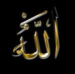 ������ ������� aboumar