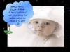 ������ ������� seham