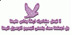 ������ ������� chaimae taleb