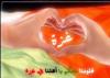 ������ ������� aboukhalil