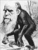 ������ ������� marx70