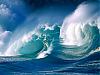 ������ ������� ocean
