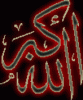 ������ ������� NAJIH065