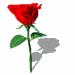 ������ ������� oussama2000