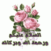 ������ ������� abouloufa