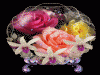������ ������� wassime