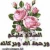 ������ ������� no3ayma