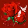������ ������� youssef.8.11