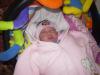 ������ ������� taika