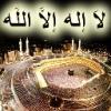 ������ ������� didi mehdi