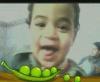 ������ ������� taha01