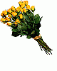 ������ ������� romana