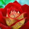 ������ ������� abdelilah193